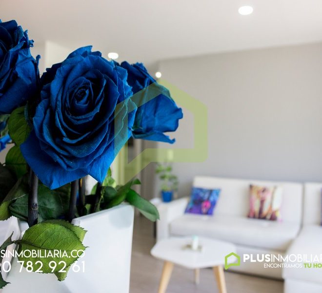 Renta de Apartamento Amoblado Medellín Loma del Indio, A166 (2)